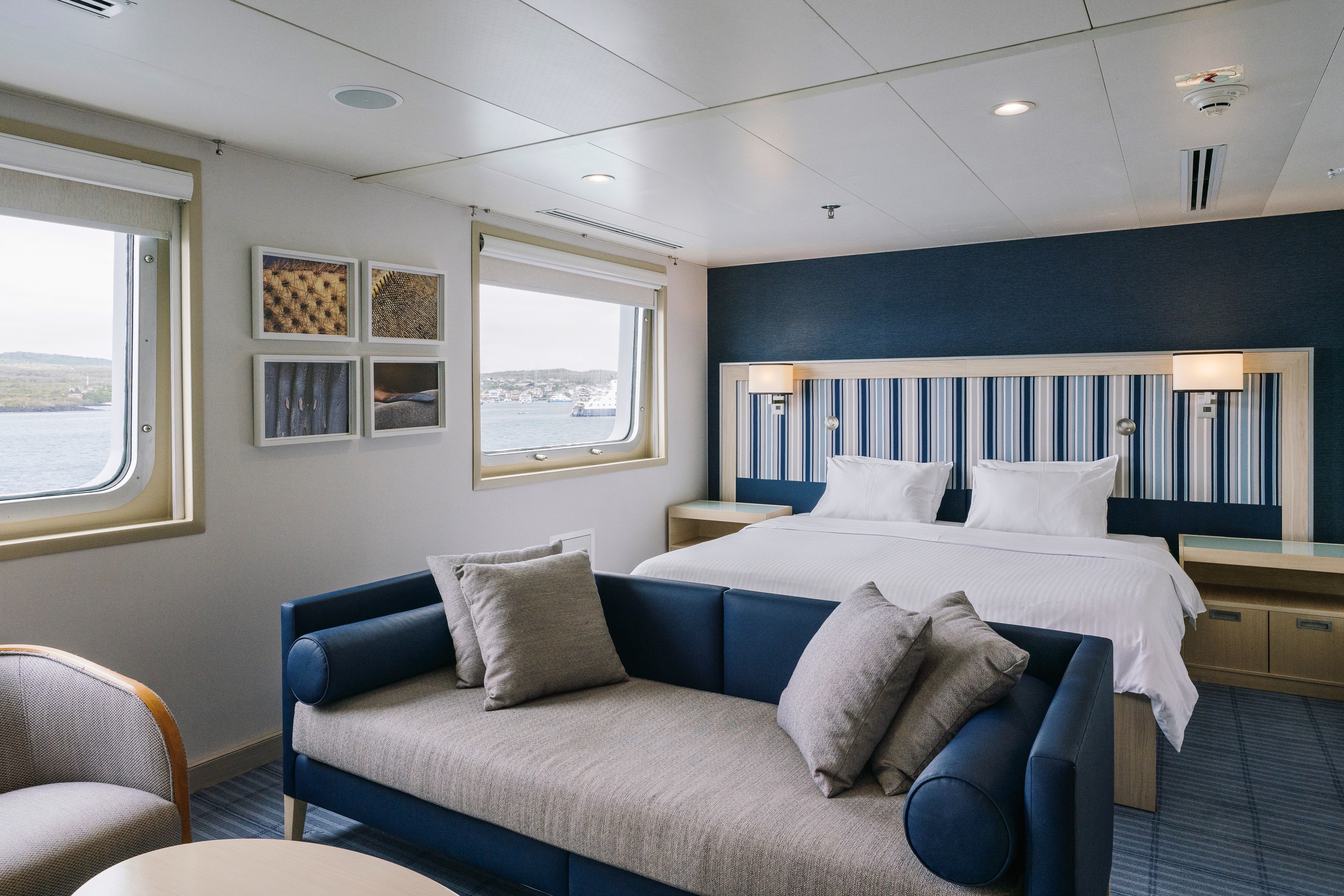 DS | Darwin Suite